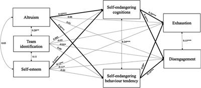 The role of self-endangering cognitions between long-term care nurses' altruistic job motives and exhaustion